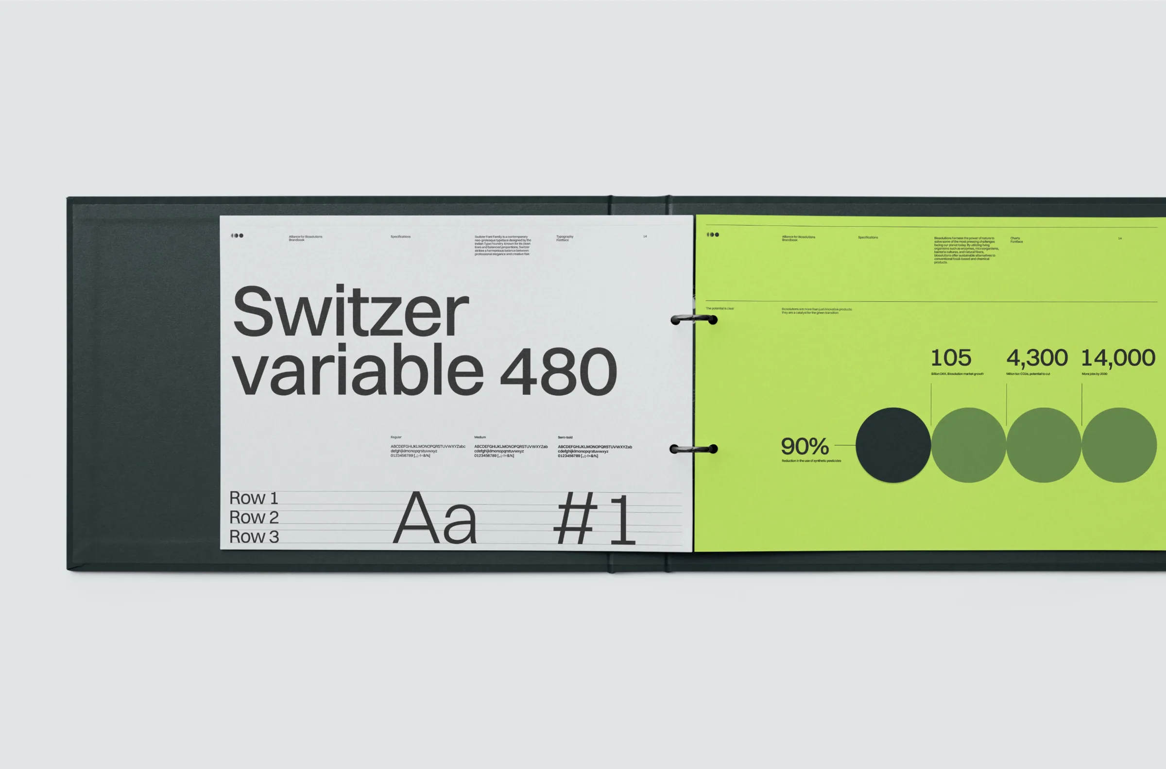 Switzer Variable 480, the Alliance typeface